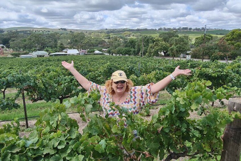 Clare Valley Wine Tour. Local Guide, Clare Valley pickup, & lunch 4