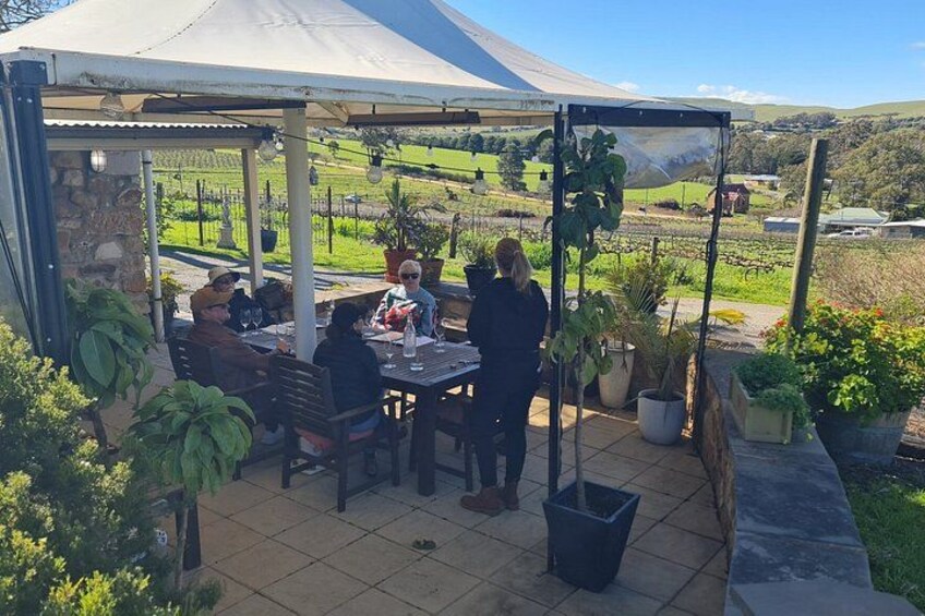 Een overdekt terras met een eettafel en stoelen, omringd door planten en uitzicht op een wijngaard. 4