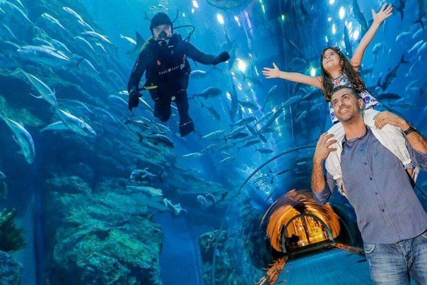 Dubai Aquarium and Underwater Zoo plus Penguin Cove Tickets 5