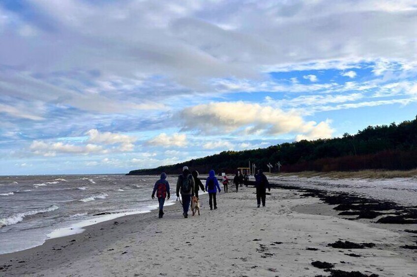 From Riga: Jurmala and Kemeri National Park Tour + Baltic Sea 5