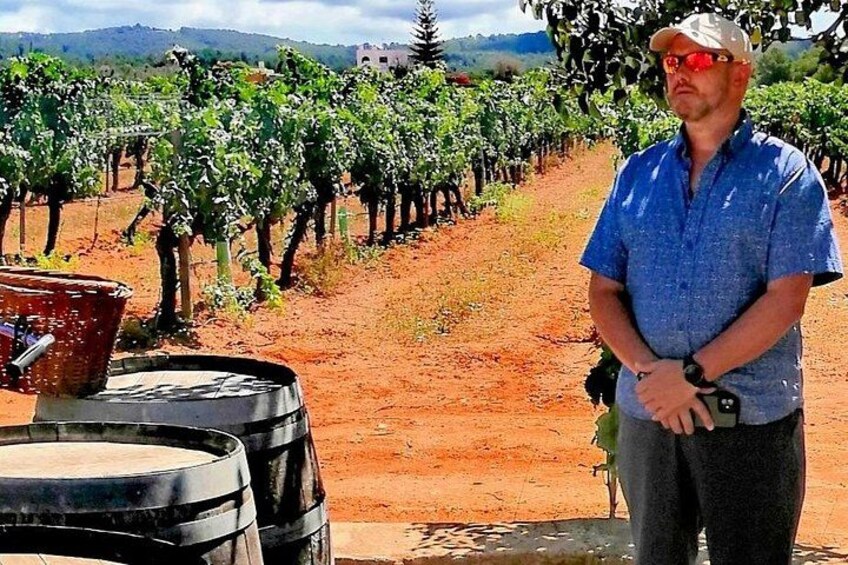 Private Ibiza Winetasting Tour 5