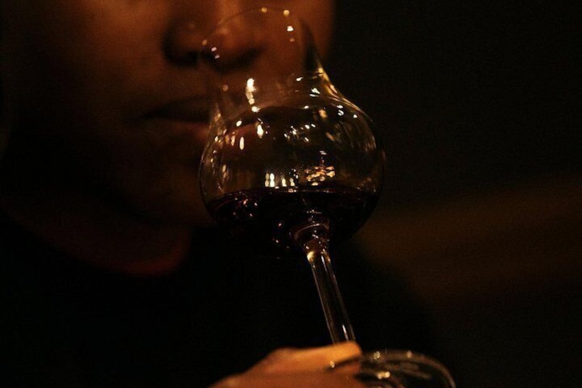 Tasting of Guadeloupe rum IGP 3