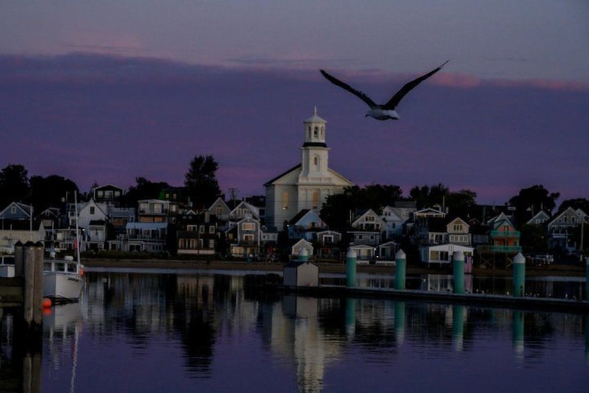A waterfront town with a prominent church, calm water, and a seagull flying. 2