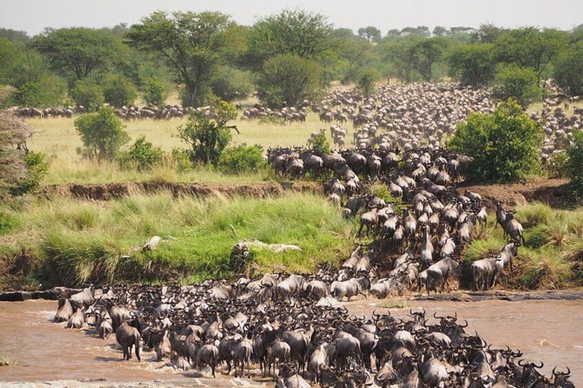 Three Day Thrilling Masai Mara Jeep Safari Spectacle 3