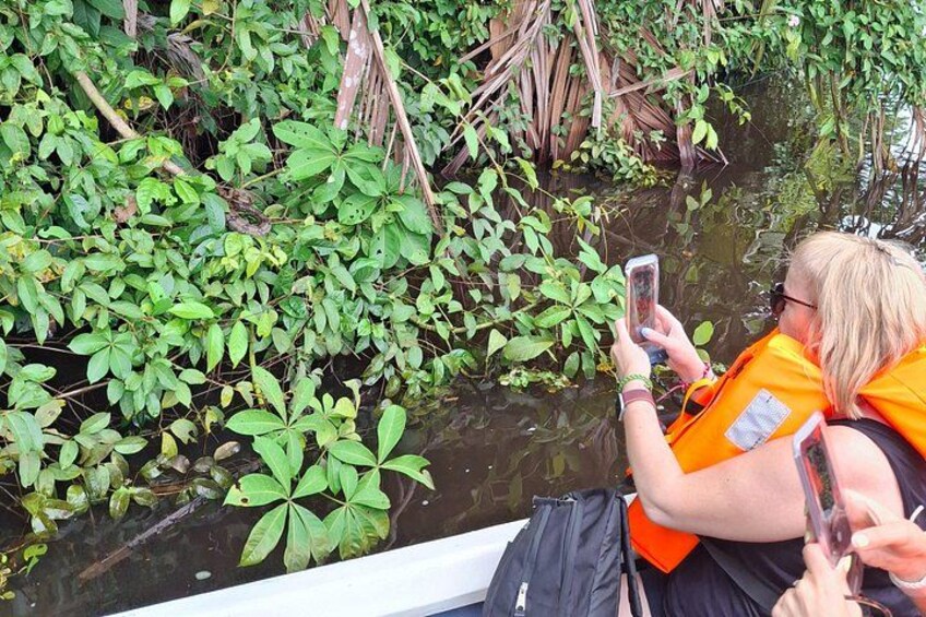 Two people in orange shirts sitting on a boat, surrounded by dense green foliage and water. 3