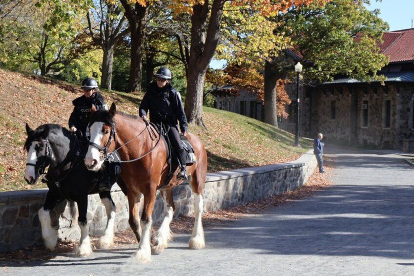 Montreal: adventure in Mont-Tremblant in the colors of autumn 2