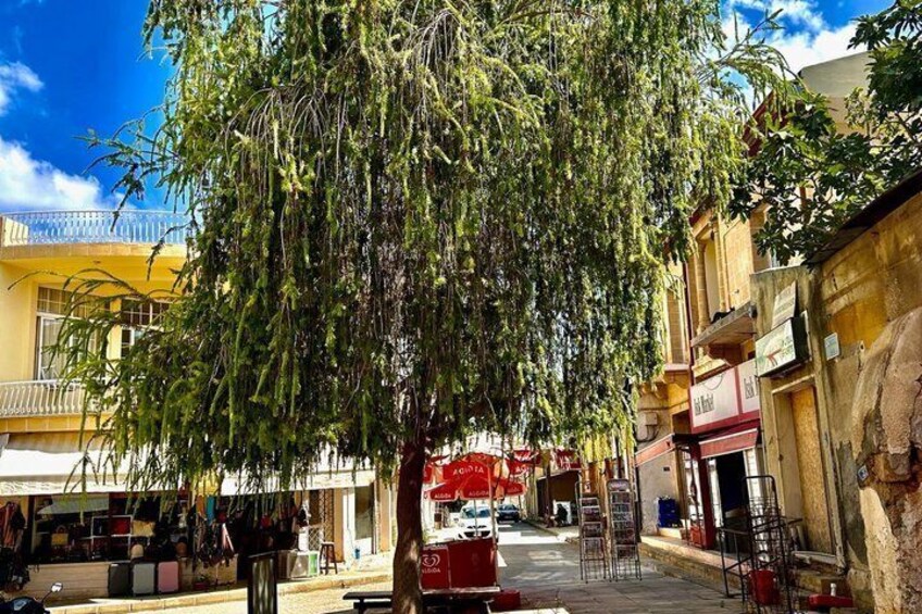 Cyprus: Private Varosha Ghost Town & Famagusta Old Town Tour 3
