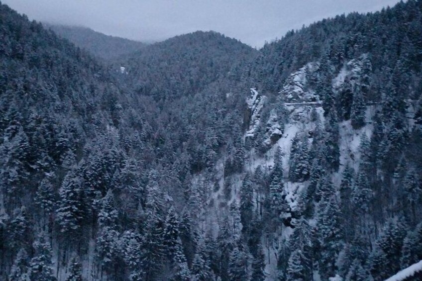 Hike and Sled in Borovets With a Visit of Royal Bistritsa Palace 3