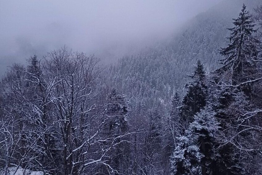 Hike and Sled in Borovets With a Visit of Royal Bistritsa Palace 5