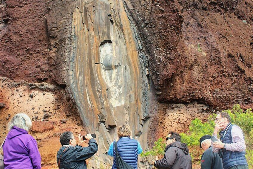 A group of people observing a large, weathered tree trunk with visible horizontal cracks. 1