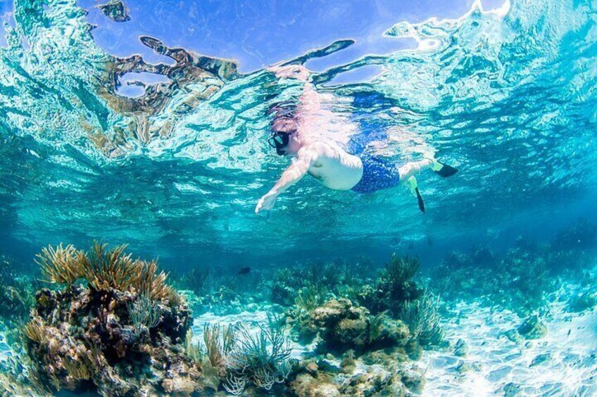 Grand Cayman Kittiwake and Reef Sail 2