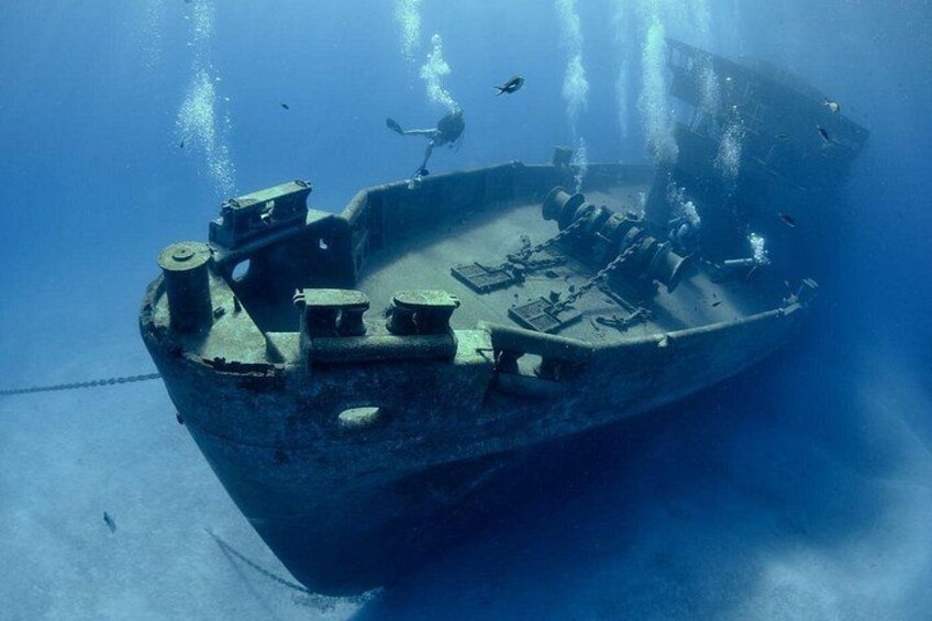 Snorkel the exciting Kittiwake wreck 1