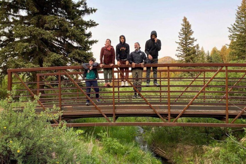 Woodland Park: 2 Hour Guided Wildlife Sunset UTV Tour - You Drive 4