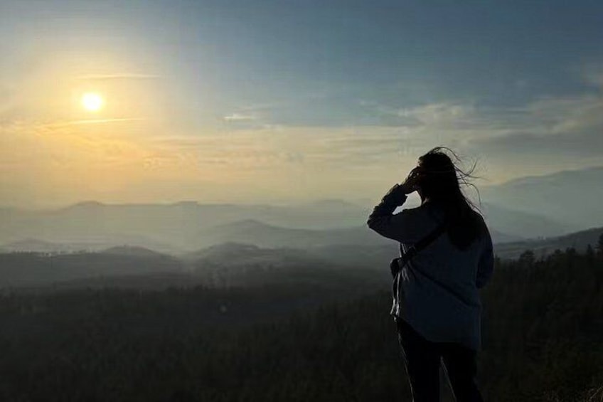Woodland Park: 2 Hour Guided Wildlife Sunset UTV Tour - You Drive 3