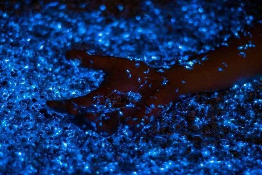 A dark object with a reddish-brown hue on a textured blue surface. 3