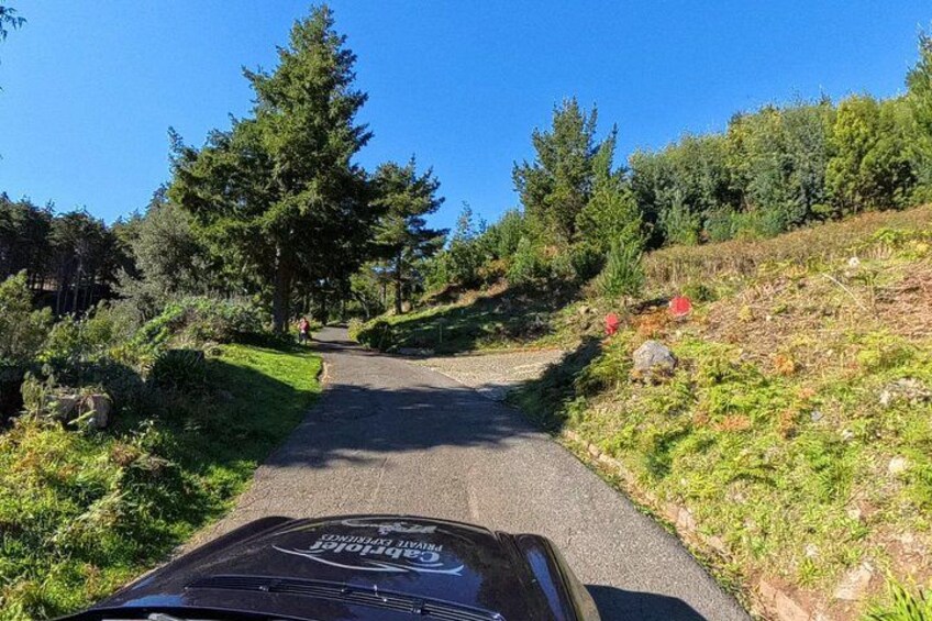 Funchal Cabriolet Scenic Roads Mountains and Viewpoints 4