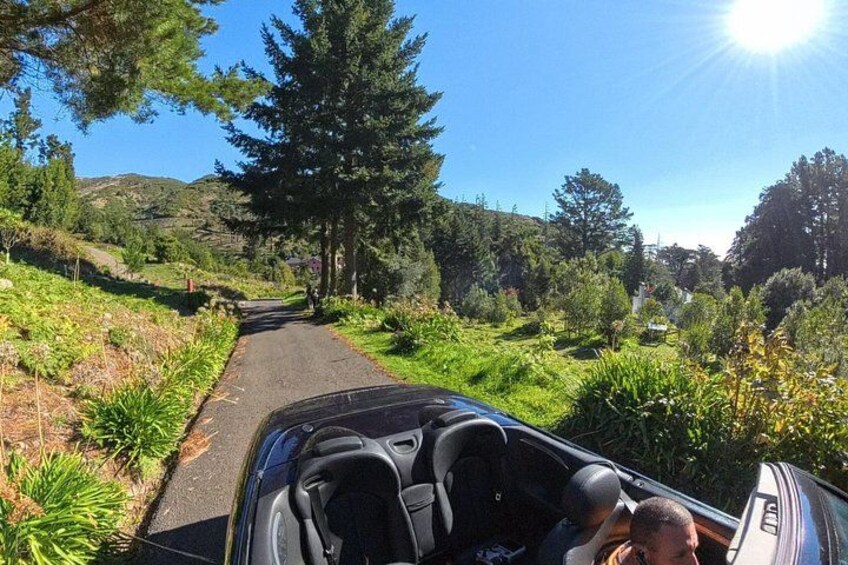 Funchal Cabriolet Scenic Roads Mountains and Viewpoints 1