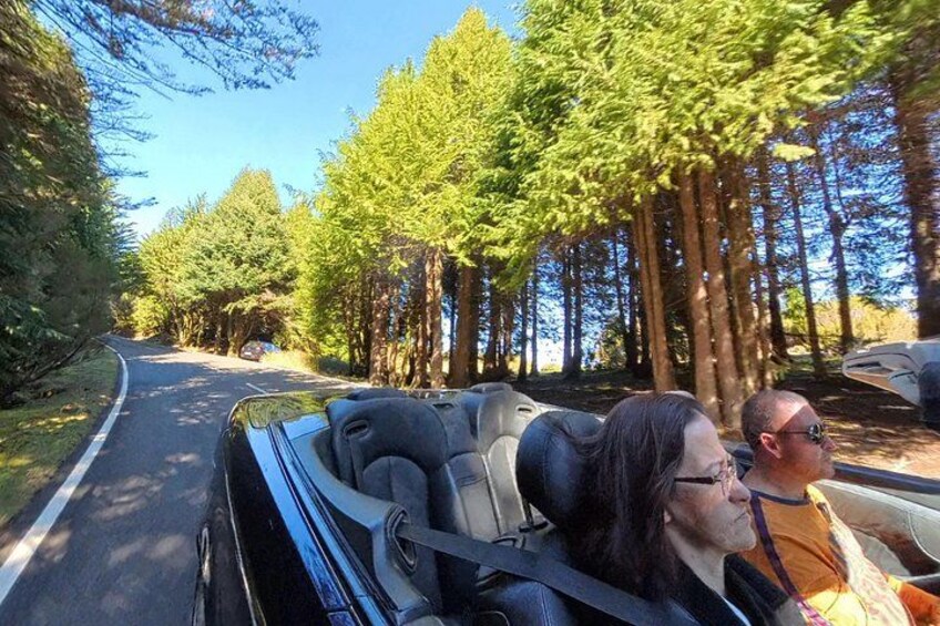 Funchal Cabriolet Scenic Roads Mountains and Viewpoints 3