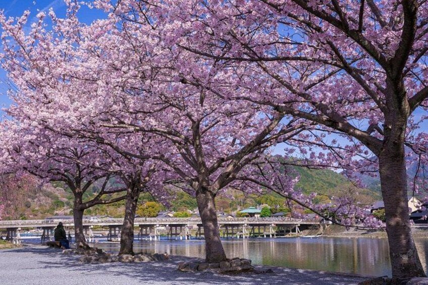 From Osaka or Kyoto: Full Day Sightseeing Tour of Kyoto 5