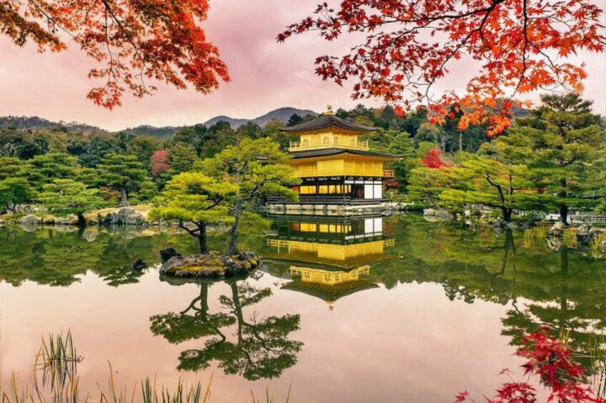 From Osaka or Kyoto: Full Day Sightseeing Tour of Kyoto 5