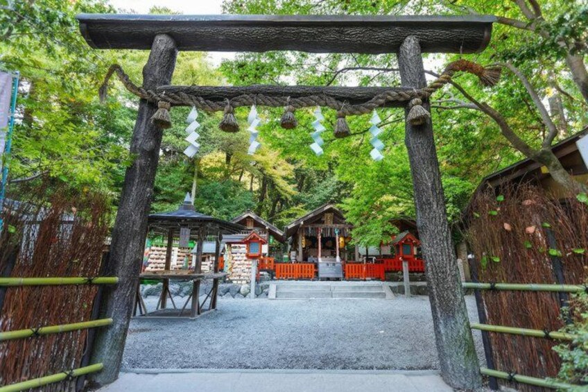 From Osaka or Kyoto: Full Day Sightseeing Tour of Kyoto 2