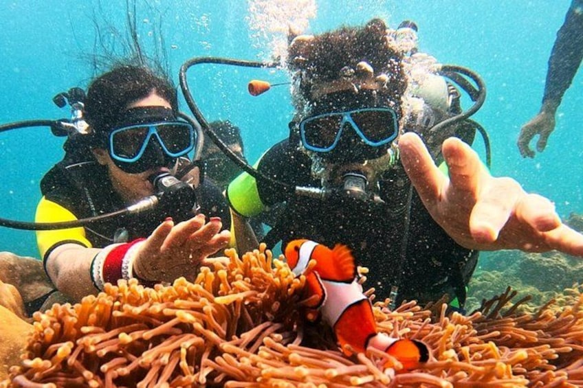 Phuket Scuba Diving Maiton Private Island Small Group or Snorkel 2
