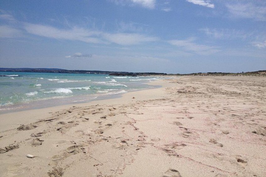 Formentera Tour from Ibiza with Transfer and Beaches 2