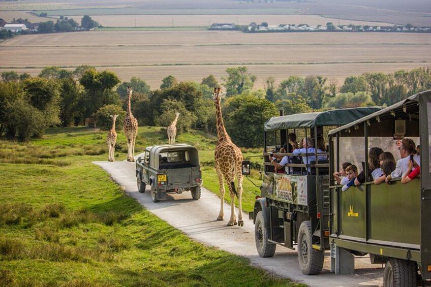 Port Lympne Day Ticket 1