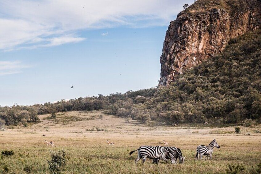 Day Trip to Hell's Gate National Park and Lake Naivasha 1