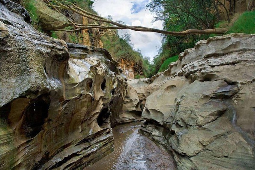 Day Trip to Hell's Gate National Park and Lake Naivasha 4