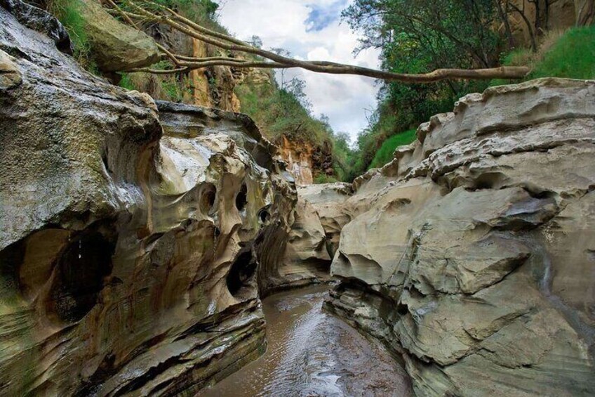 Day Trip to Hell's Gate National Park and Lake Naivasha 4