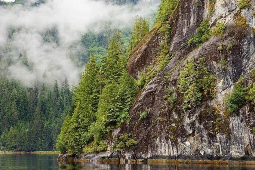 Misty Fjords and Wilderness Explorer from Ketchikan 2