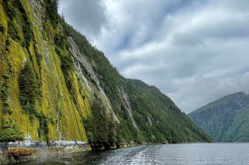 Misty Fjords and Wilderness Explorer from Ketchikan 3