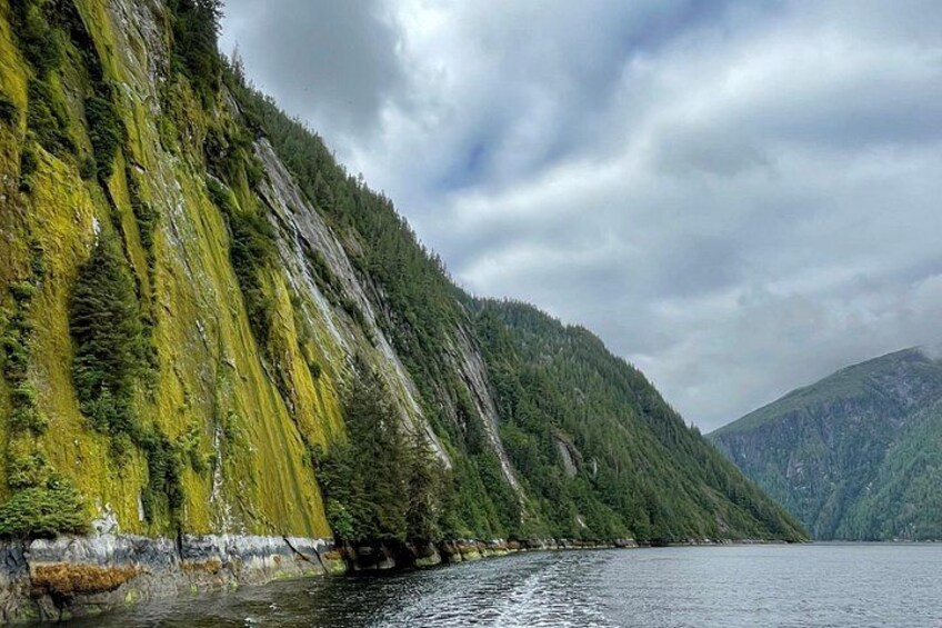 Un lago circondato da montagne ripide e boscosi sotto un cielo nuvoloso. 3