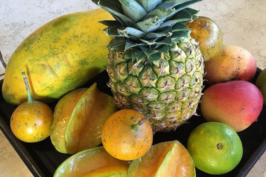 Juice Mixology Workshop in Costa Rica 3