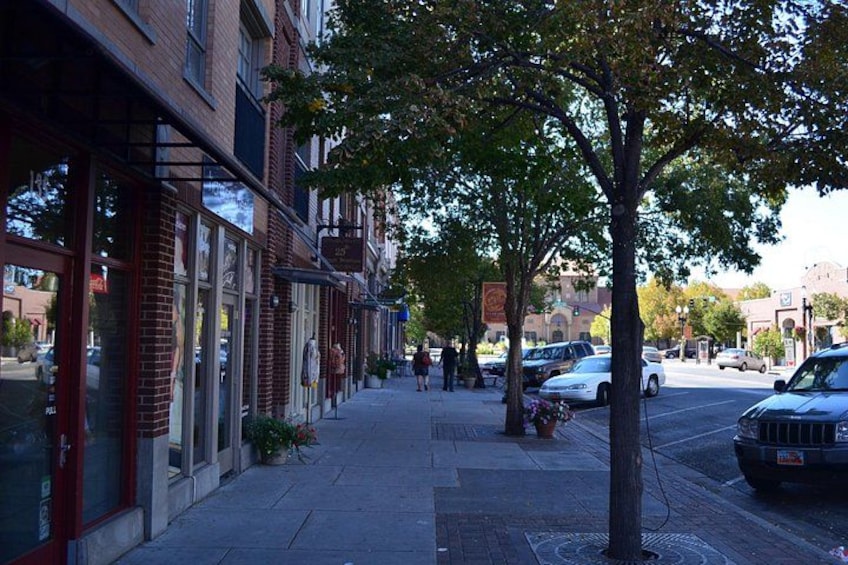A sidewalk lined with brick buildings, a tree, and parked cars. 2
