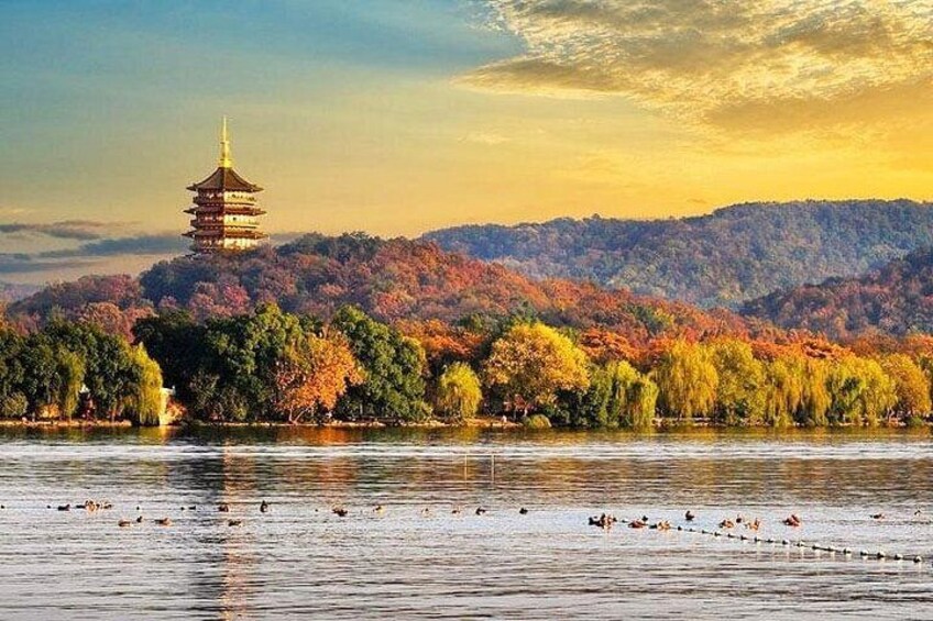 Hangzhou Private Customized Day Trip from SH by Bullet Train 3