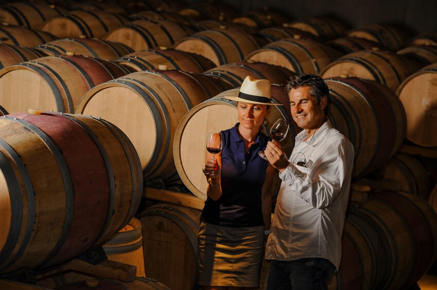Dijon Wine Tours: Côte de Nuits Half-Day 3