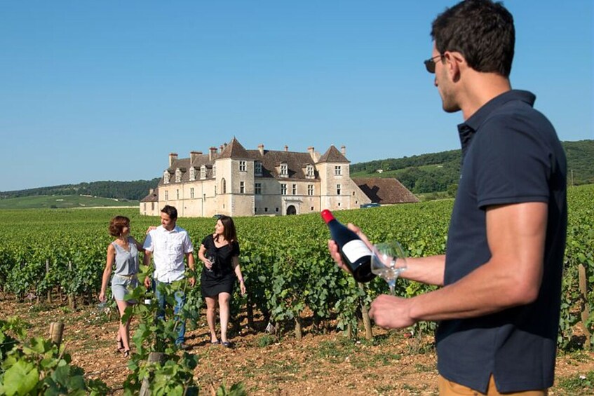 Dijon Wine Tours: Côte de Nuits Half-Day 4
