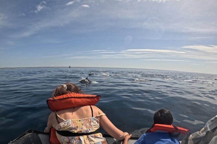 A boat with two people wearing life jackets, one adult and one child, looking at dolphins in the water. 2