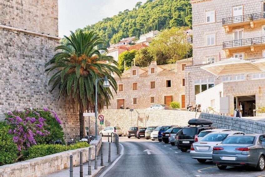 A street with parked cars, a palm tree, stone buildings, and a hilly background. 3