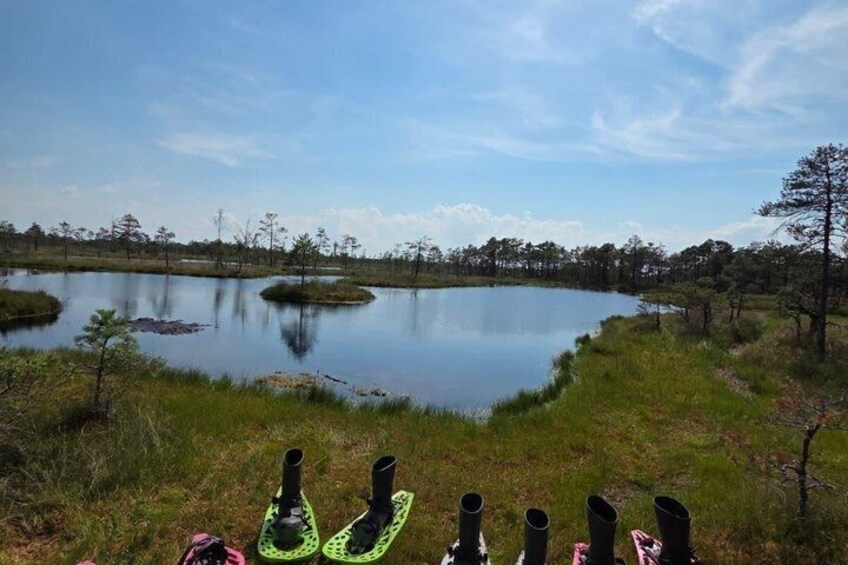 From Riga: Bog-Shoe Walk in Latvia’s Wild Nature ENG or DE 2