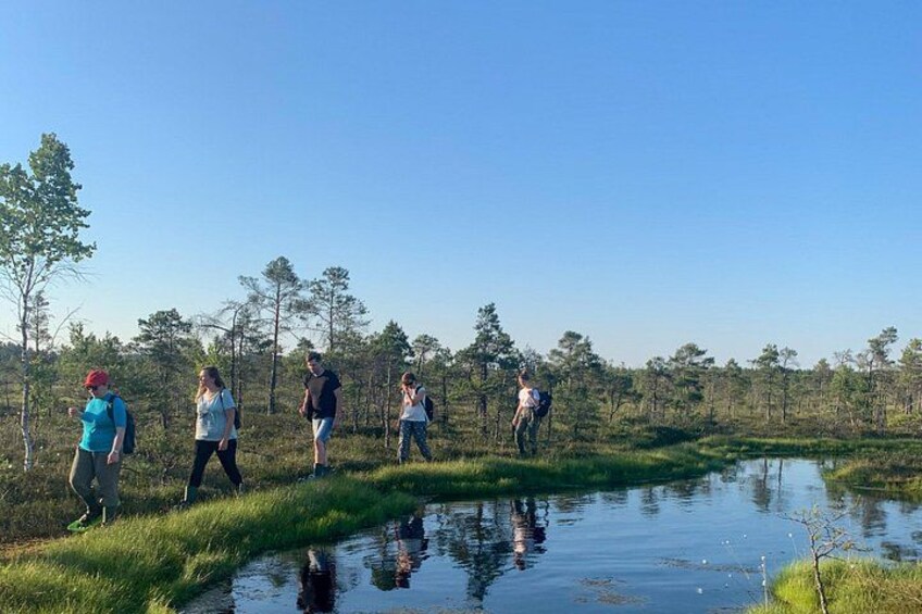 A group of people standing by a calm water body in a grassy area with trees in the background. 4
