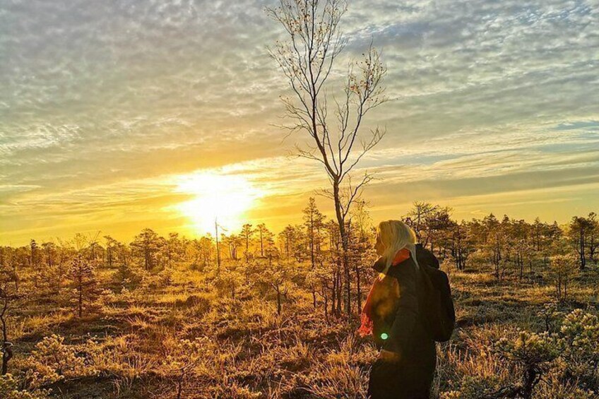 From Riga: Bog-Shoe Walk in Latvia’s Wild Nature ENG or DE 2