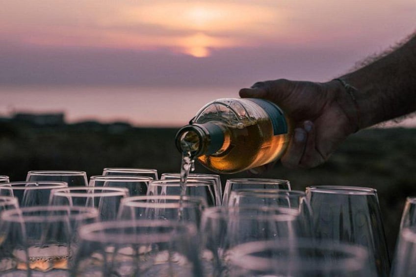 Castelsardo Vineyard and Wine Tasting Experience with Sunset 5