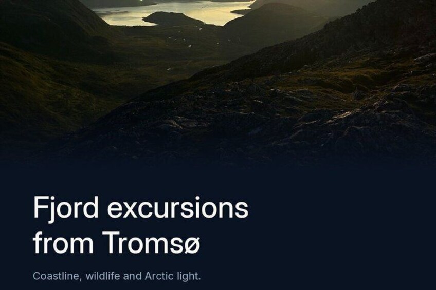 Fjords, coastline, and wildlife. 1