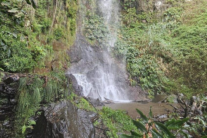 A waterfall surrounded by lush greenery. 4
