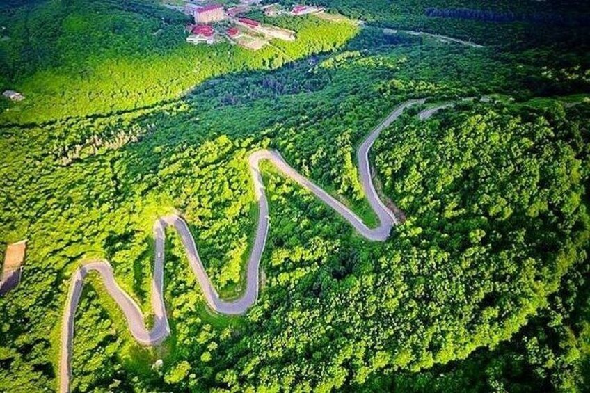 A winding road through a dense forest. 3