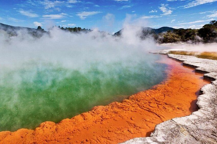 Rotorua Private Tour from Tauranga (up to 18 people) 3