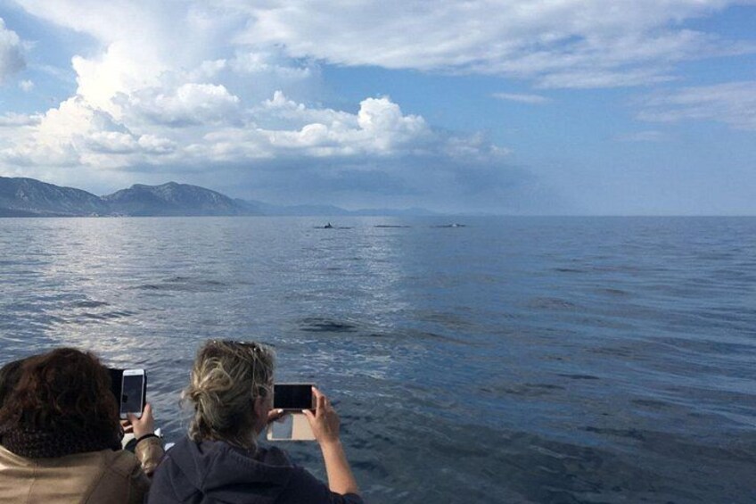 From Cala Gonone Naturalistic Excursion on a RIB 3